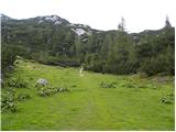 Planina Podvežak - Kapelica na Molički planini